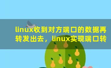 linux收到对方端口的数据再转发出去，linux实现端口转发